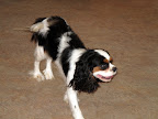 IMG_2892.JPG