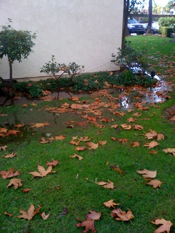 [floods at our apartments[2].jpg]