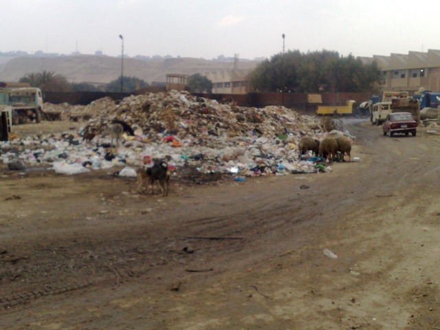[08122009666[2].jpg]