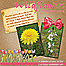 Wildflowers Digital Scrapbooking Layout Thumbnail