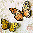 Thinking of You Butterflies Thumbnail