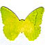 Alcohol Ink Color Recipes Thumbnail
