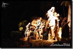 BelenLasFuentes (14)