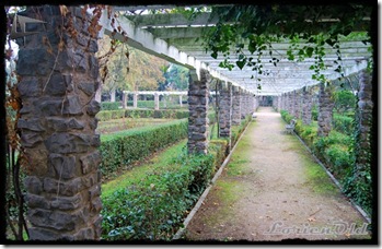 Parque_Labordeta (28)