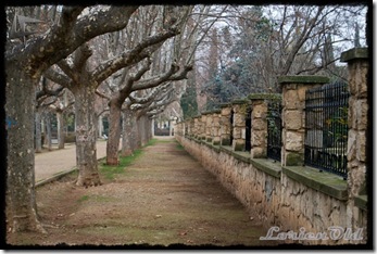 Parque_Labordeta (33)