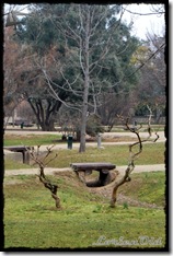 Parque_Labordeta (32)