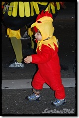 Carnaval (45)