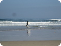 IMG_8782 IMG_8782