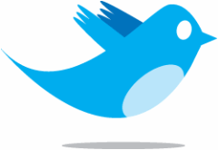 Twitter bird Twitter bird