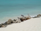 DSC01556.JPG
