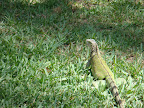 DSC01646.JPG