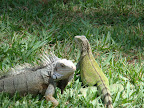 DSC01647.JPG