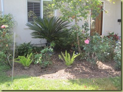 IMG_2658 IMG_2658