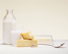 dairy