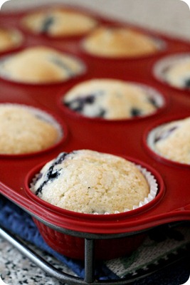blueberrymuffins7