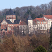 IMG_0503.jpg