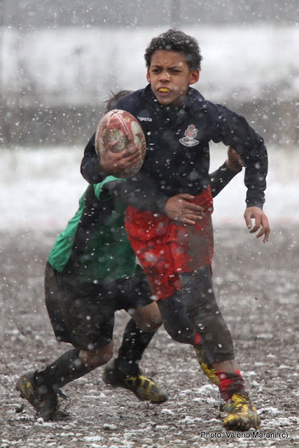 IMAGE: http://lh6.ggpht.com/_xoFtBSPgB9Y/TUWPMX_Hk5I/AAAAAAAABWY/Obhmlo8GY_c/s640/IMG_7116.JPG