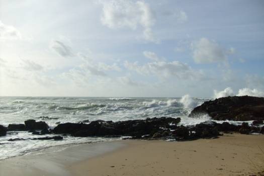 [PUNTA_2009__008[3].jpg]