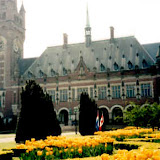 Dedication - The Hague, Netherlands