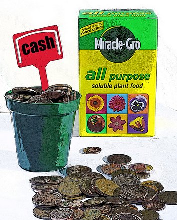 Grow Your Wealth Planting a money tree