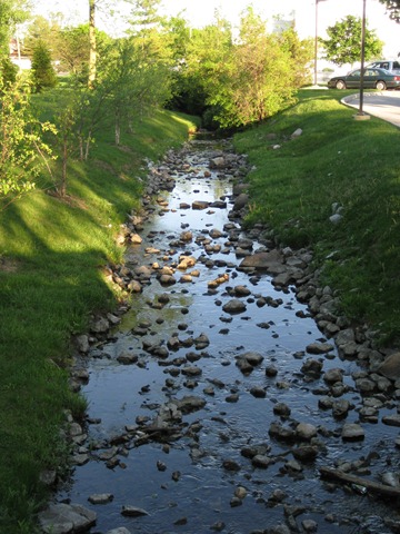 [IMG_91693.jpg]