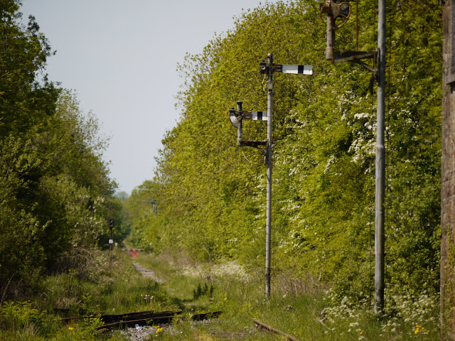 P1020180.JPG