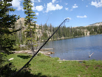 DSC00494.JPG Photo