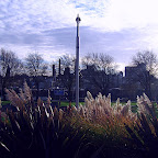  Cityscapes (Gallery)