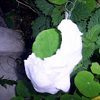  Earth (Gallery)
