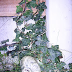  Earth (Gallery)