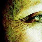 1 Portraits of Impermanence (Gallery)