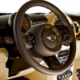MiniInspiredbyGoodwood_22.jpg