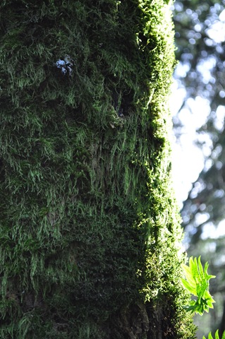 [DSC_0059[3].jpg]