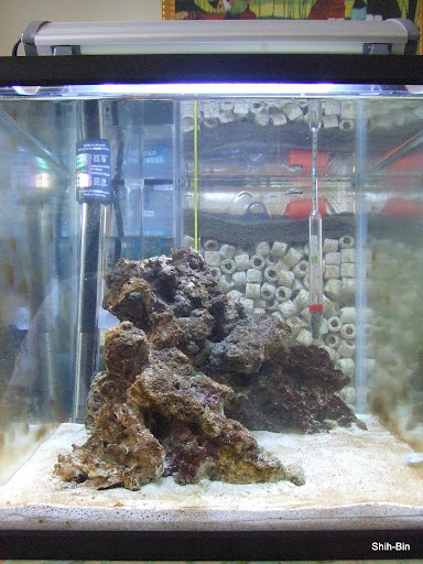 DSCF7705.JPG