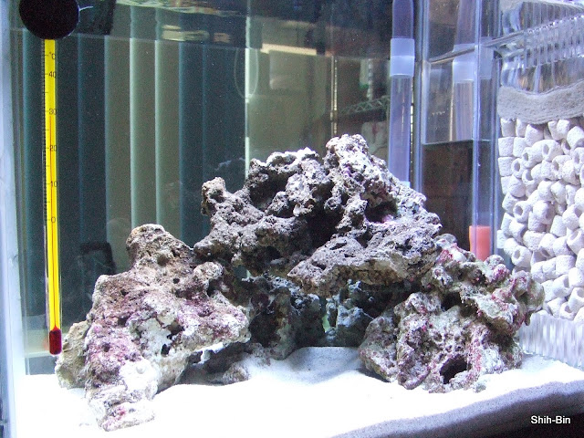 DSCF7509.JPG
