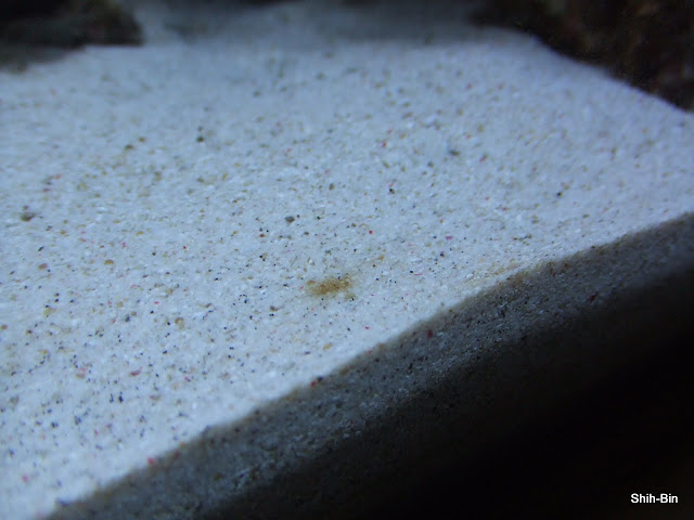 DSCF7586.JPG