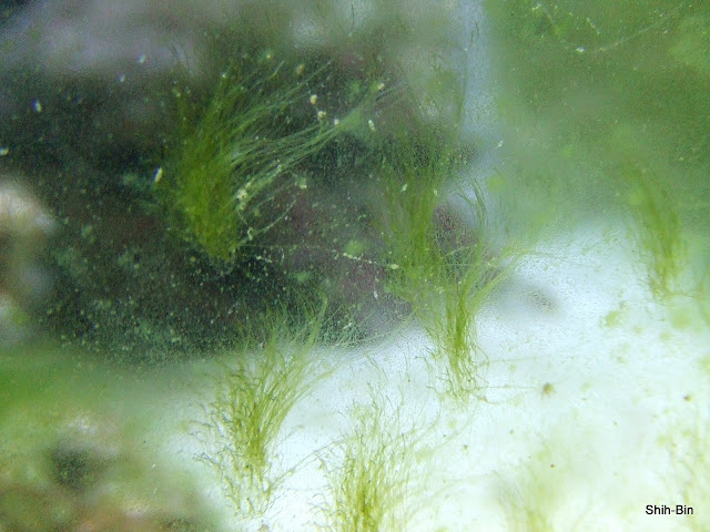 DSCF8165.JPG