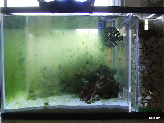 DSCF8156.JPG