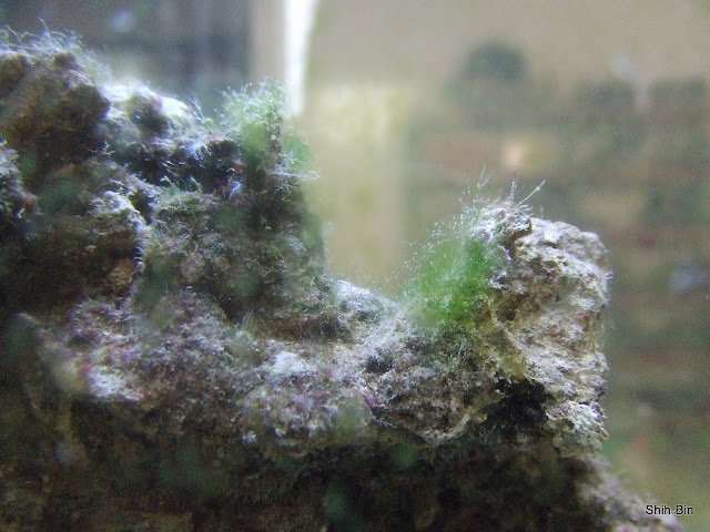 DSCF7901.JPG