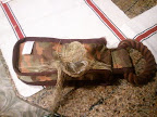 2011-01-03 19.45.26.jpg