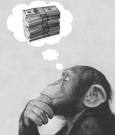 [money+monkey.jpg]
