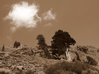 Desolation Loop 8-8-2009 2-34-42 PM.JPG Photo
