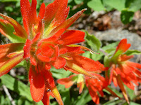 Trinity Alps 117.JPG