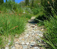 Trinity Alps 115.JPG