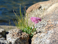 P1010008.JPG