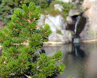 P1010038.JPG