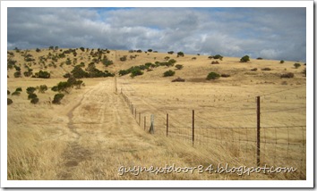 IMG_0907 IMG_0907