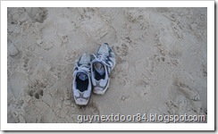 IMG_1151 IMG_1151