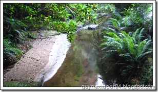 IMG_2067 IMG_2067