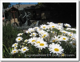 IMG_6413 IMG_6413
